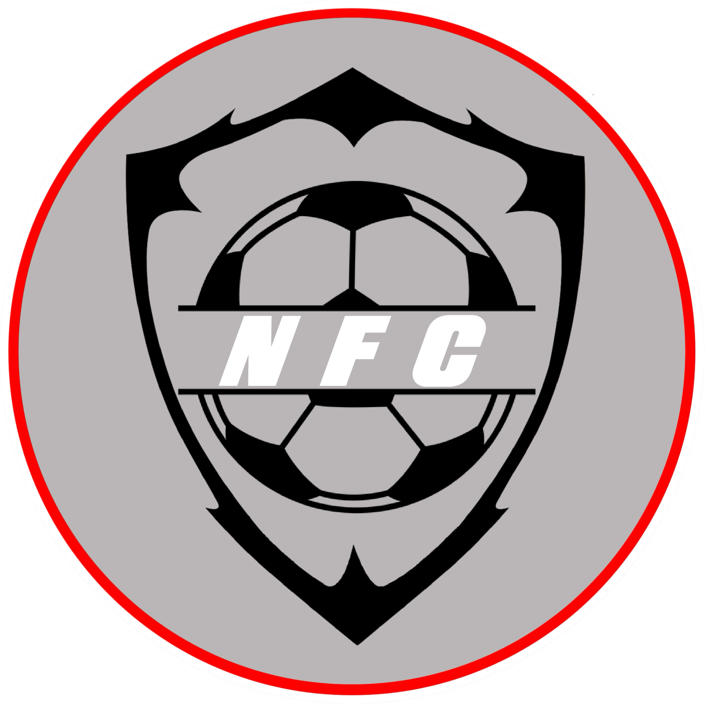 Black and white soccer ball within a black shield outline on a gray circle background with red border, letters NFC in white across the ball.
