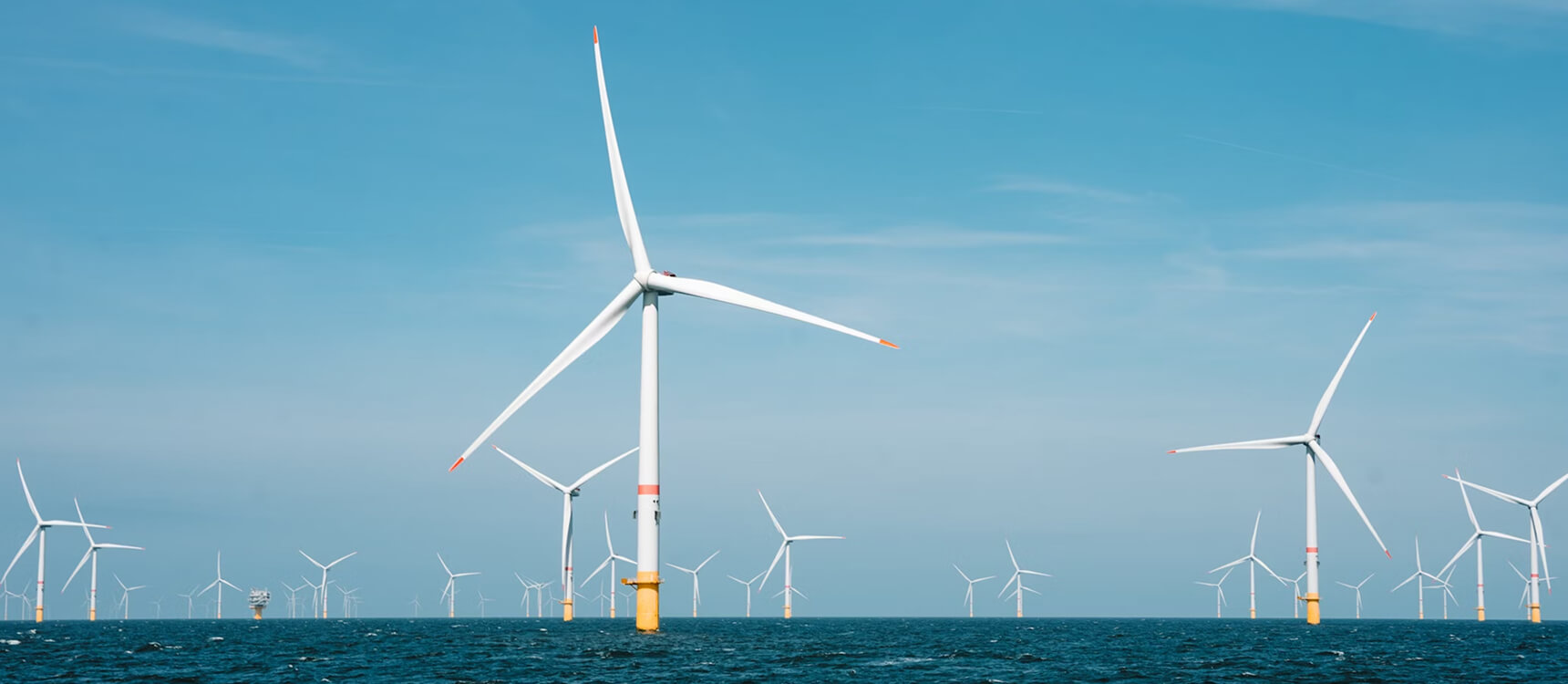 Projects Single Image