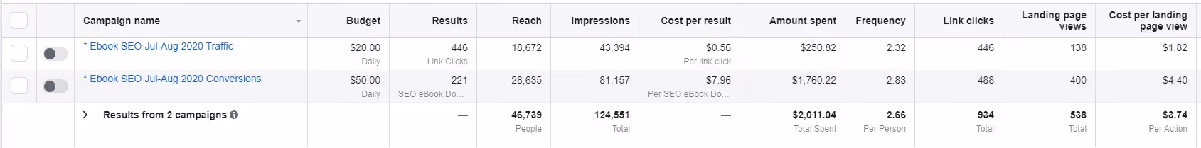 Facebook Advertising Campaign Results
