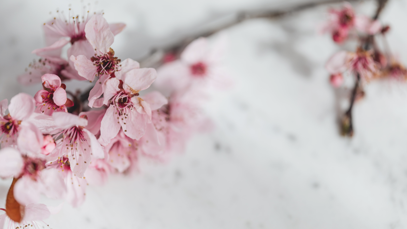 They told me my ectopic pregnancy was anxiety