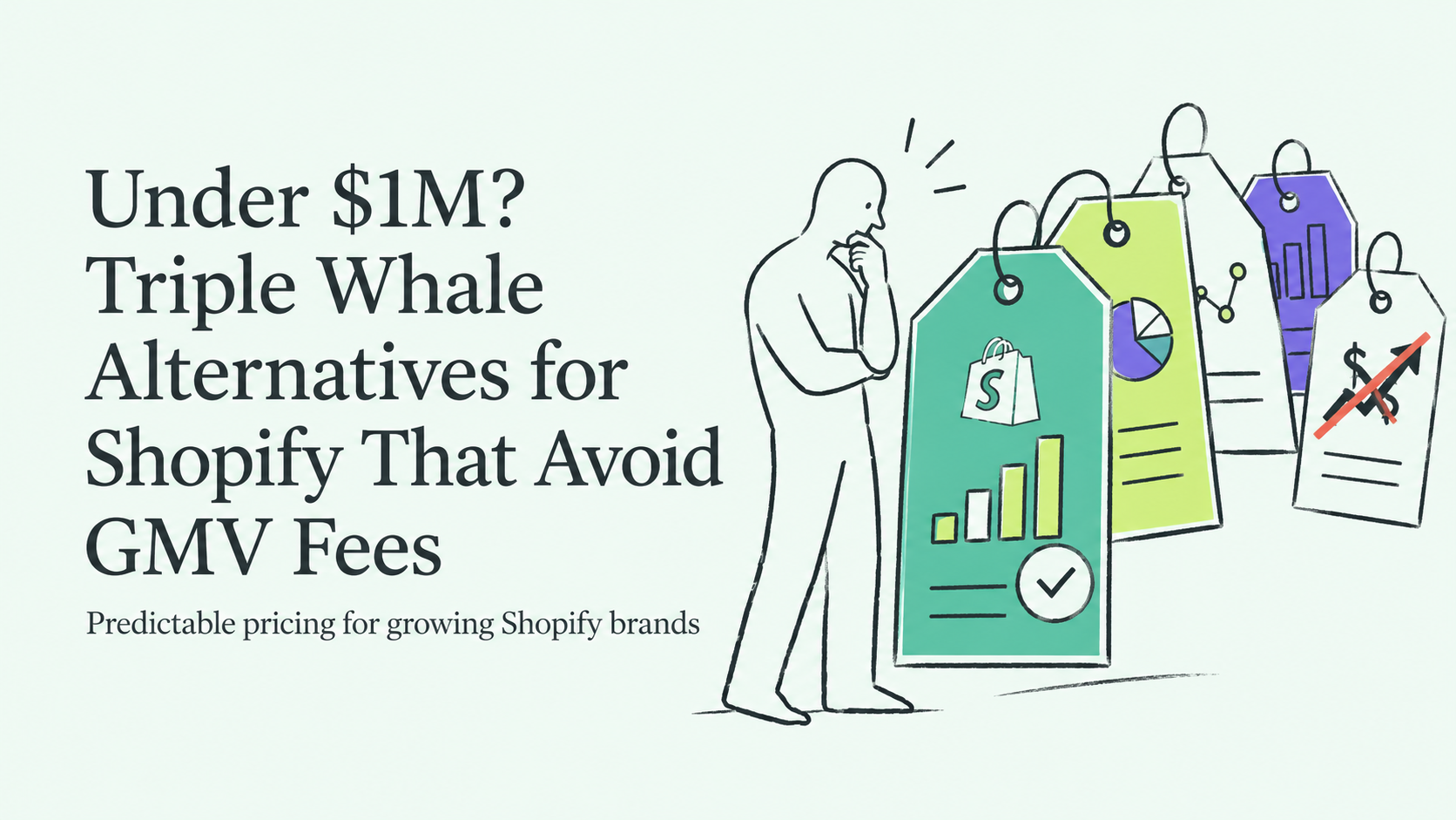 Under $1M? Triple Whale Alternatives for Shopify That Avoid GMV Fees