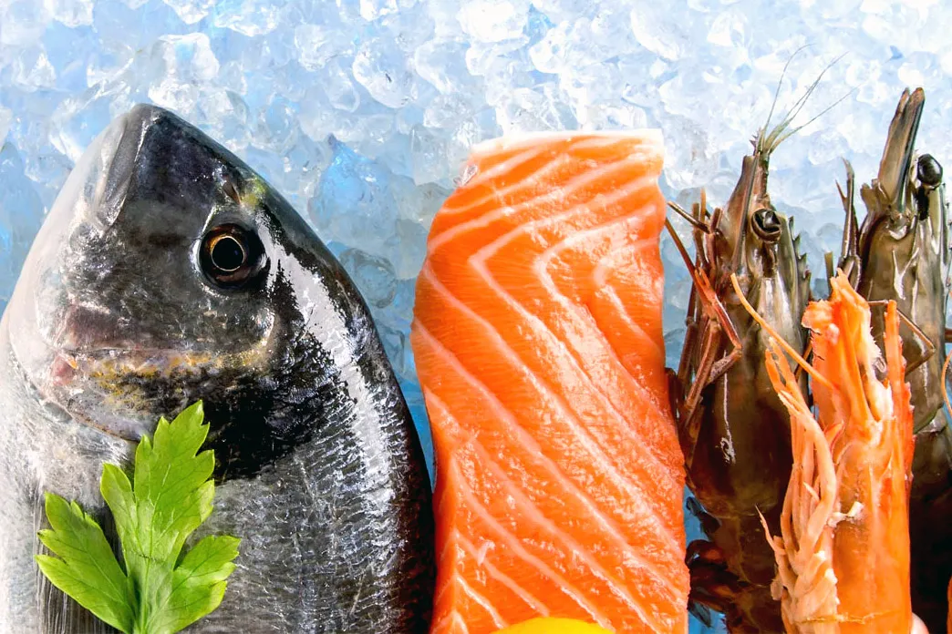 Wholesale Fresh Fish with Theo's Fisheries