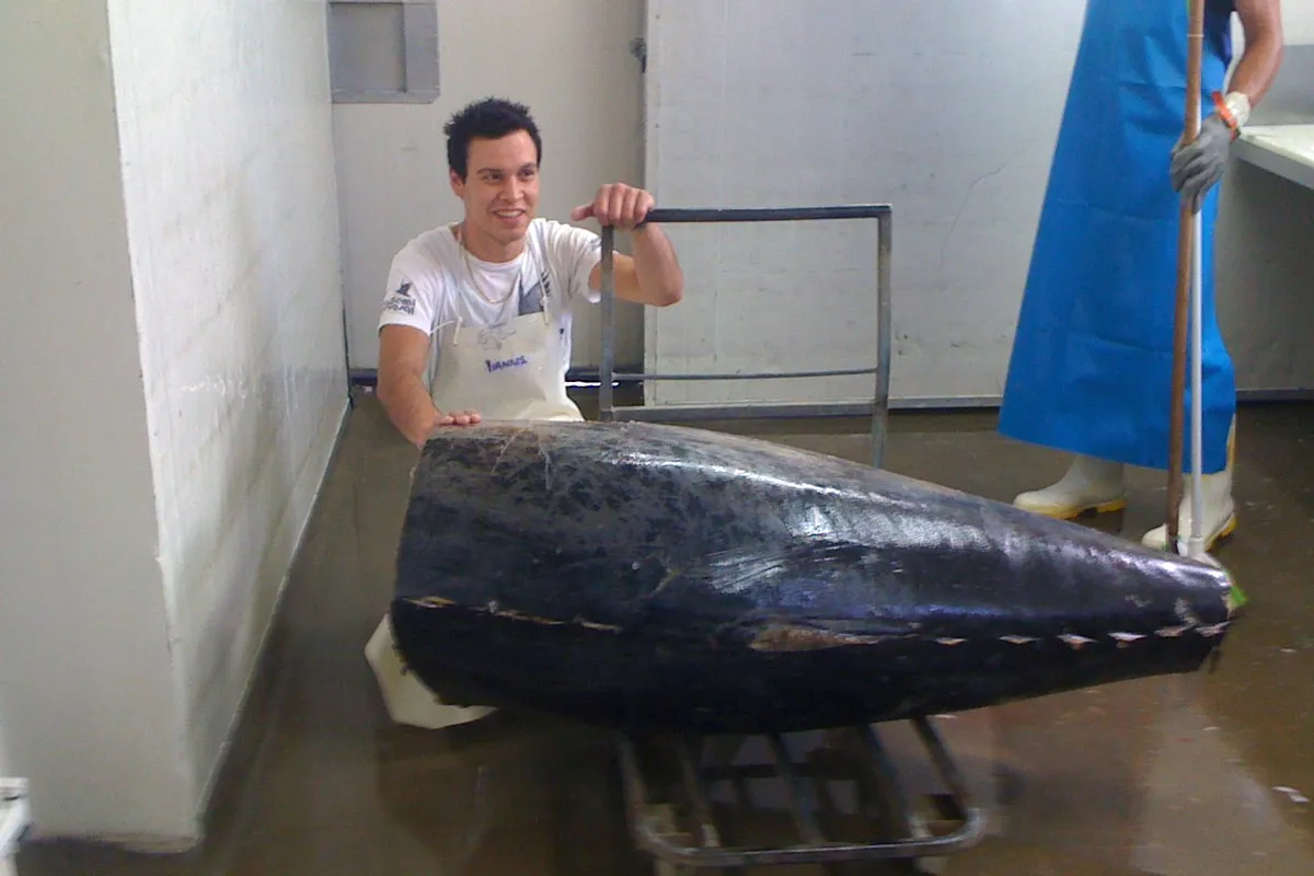 Yianni with monster NZ blue-fin tuna