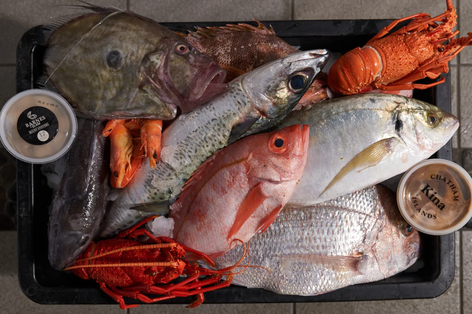 Tray filled with various fresh seafood including whole fish, lobsters, and shrimp.