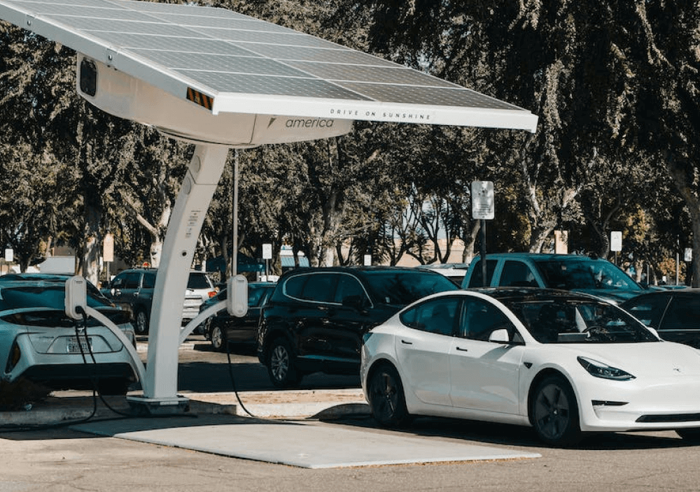 Pexels Gallery One - Energy X Webflow Template