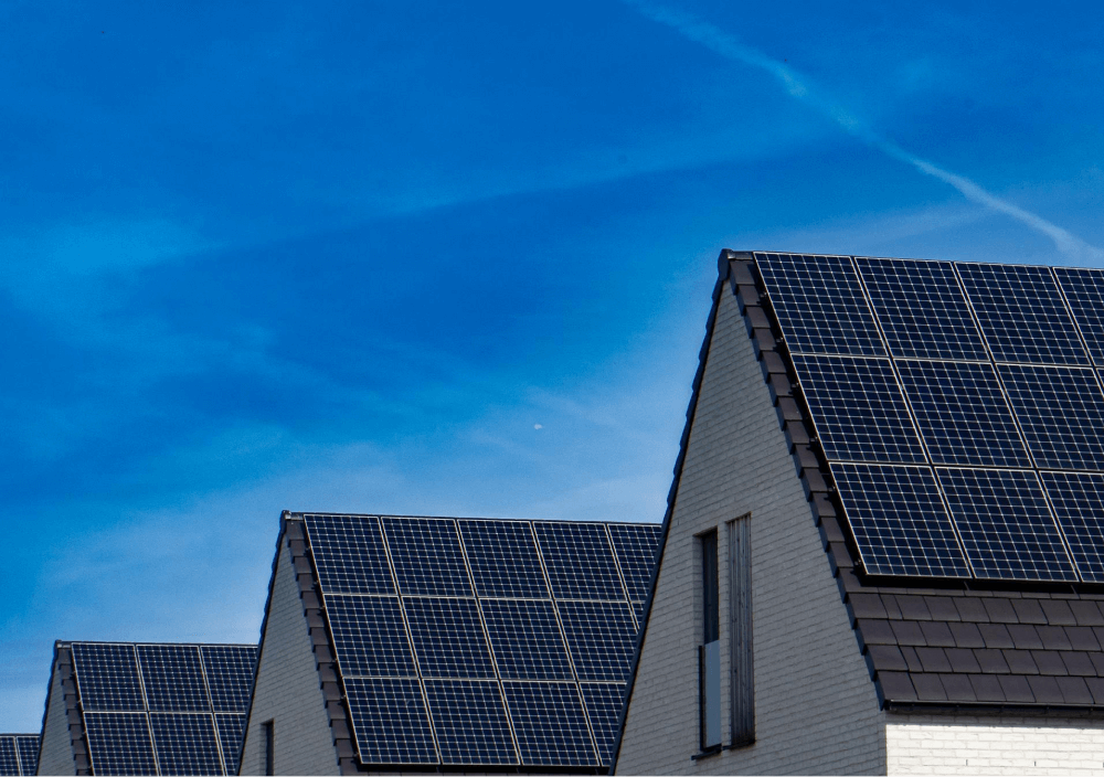 Pexels Gallery Three - Energy X Webflow Template