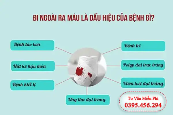  Đại tiện ra máu là dấu hiệu của bệnh gì?