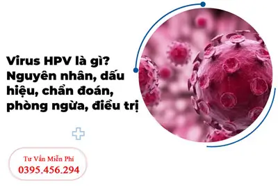 Virus HPV là gì? Xét nghiệm HPV ở đâu tốt Hà Nội