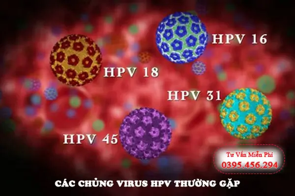 Các chủng virus HPV thường gặp