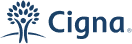 Pangea company logo with text in blue beside a globe icon showing the Americas