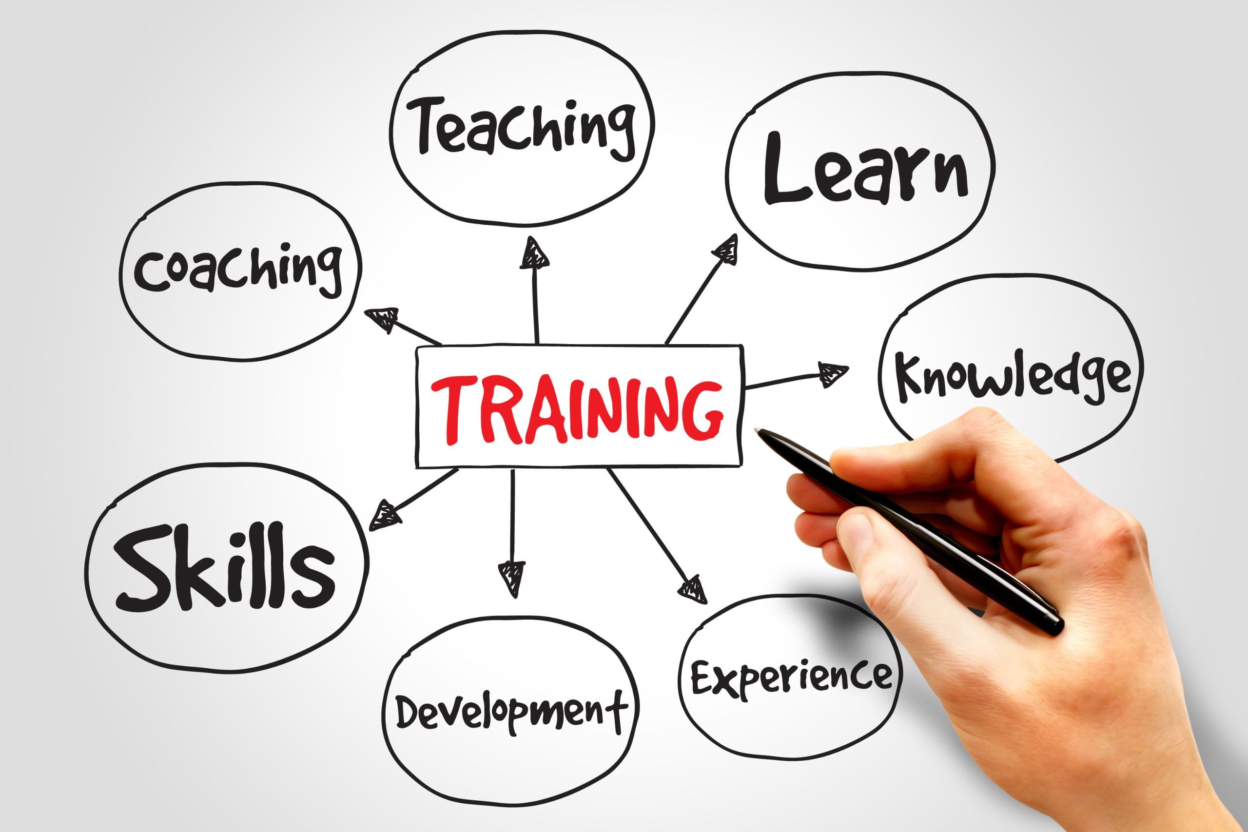 Build Winning Internship Programs: Invest in Training sessions