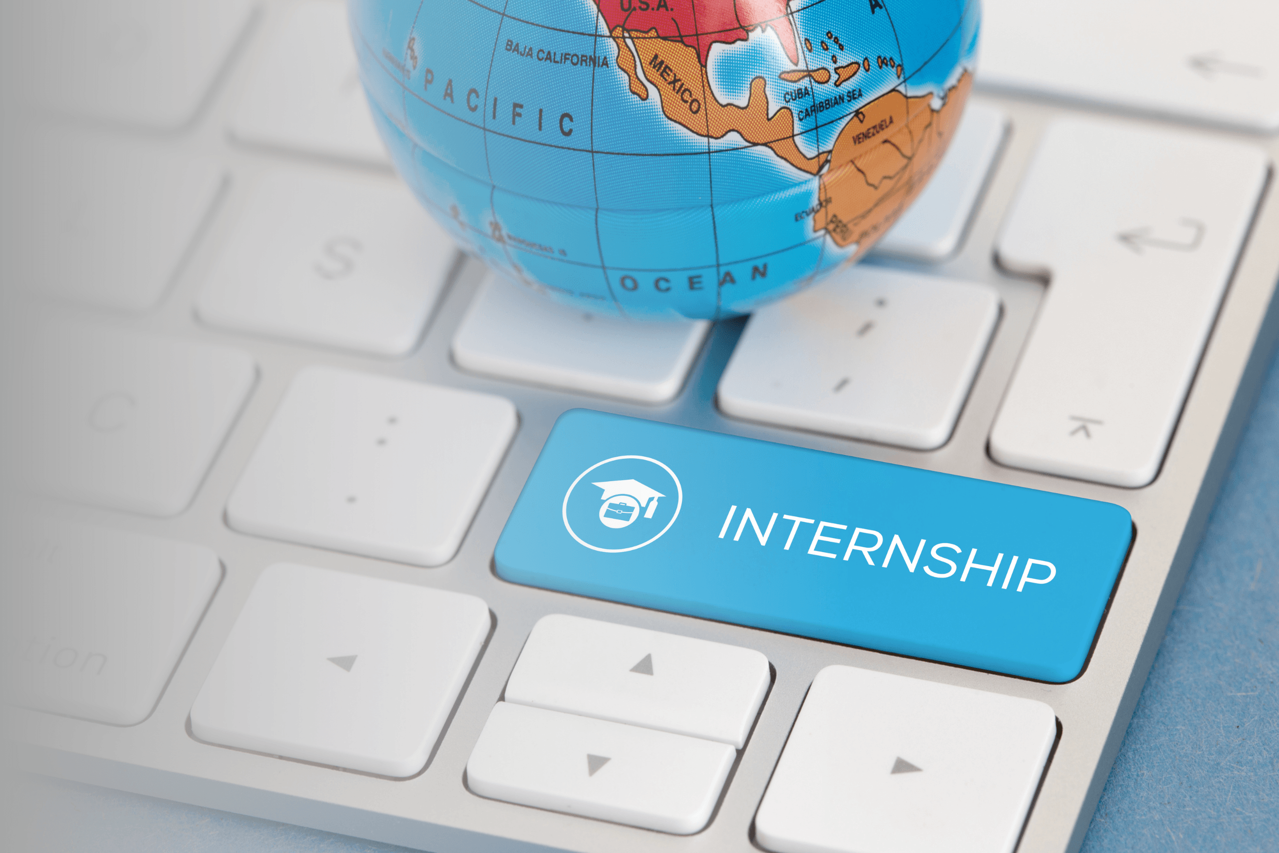 How To Build Winning Internship Programs: 11 Useful Tips|Build Winning Internship Programs: Establish a coordinator.|Build Winning Internship Programs: Invest in Training sessions|Build Winning Internship Programs: Give feedback to interns|Give out an Internship Certificate