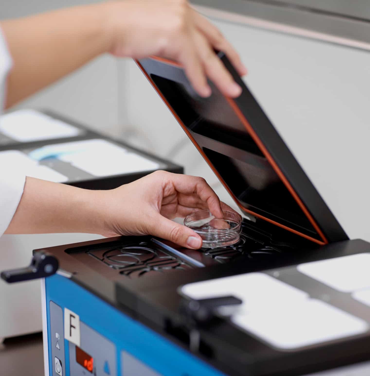 laboratory - process egg freezing