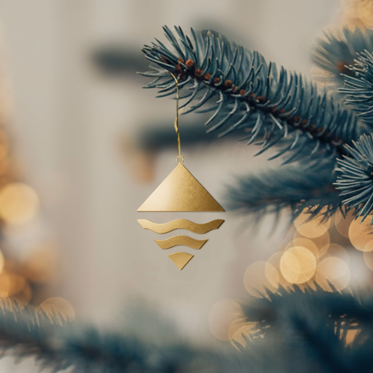 Frohe Festtage und einen guten Rutsch ins neue Jahr!