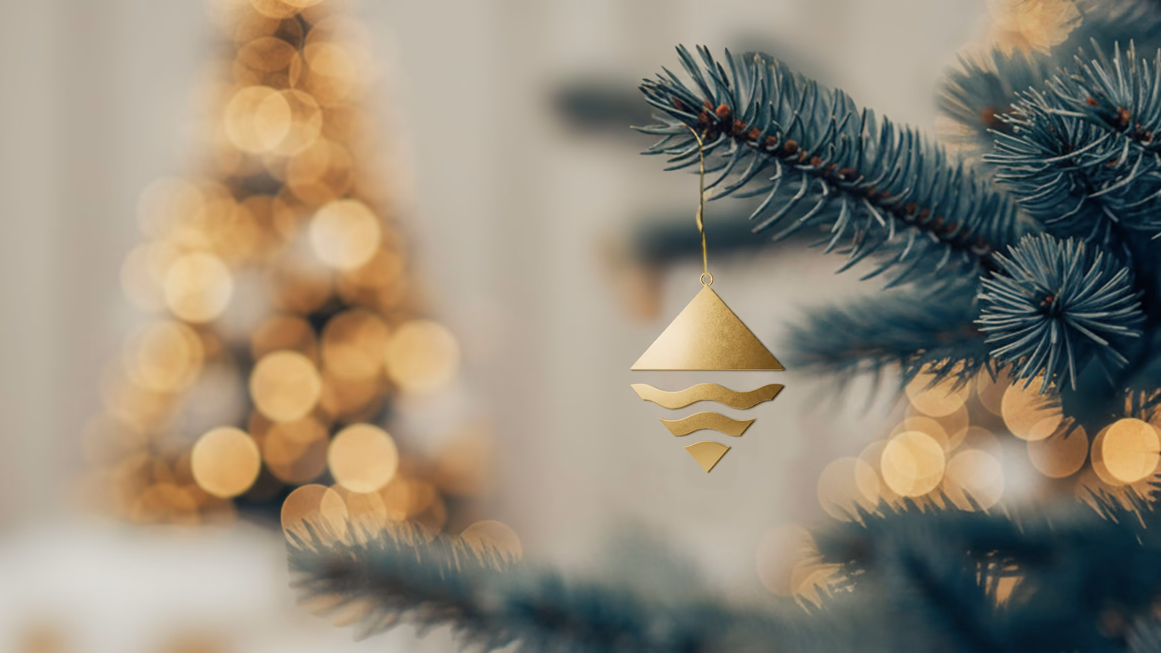 Frohe Festtage und einen guten Rutsch ins neue Jahr!