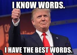 Image result for i have the best words
