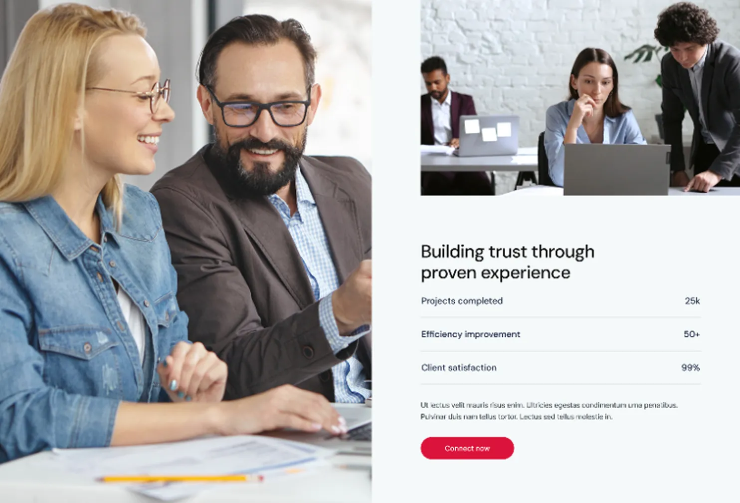 Two smiling colleagues working together on a laptop with text about building trust, project stats, and a red Connect now button.
