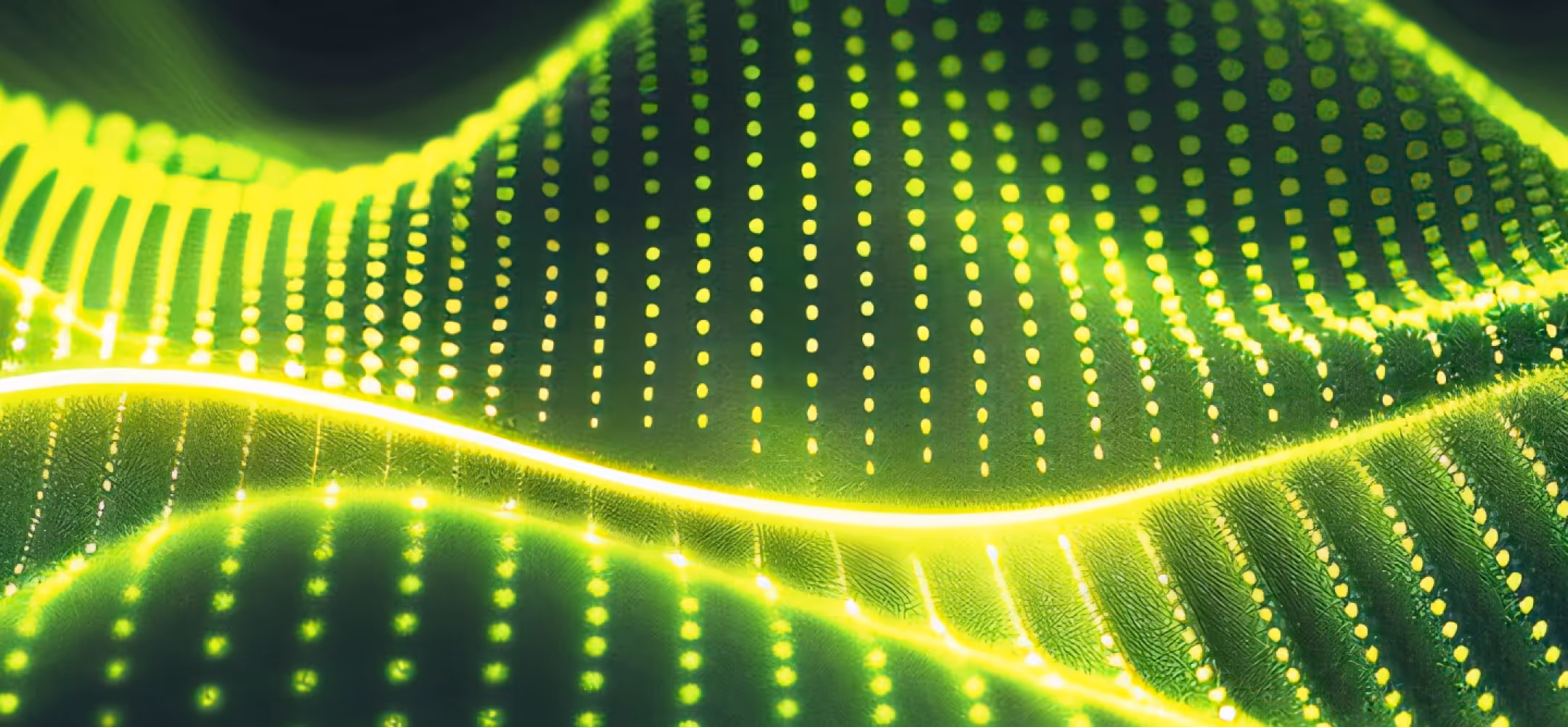 Background Decorative