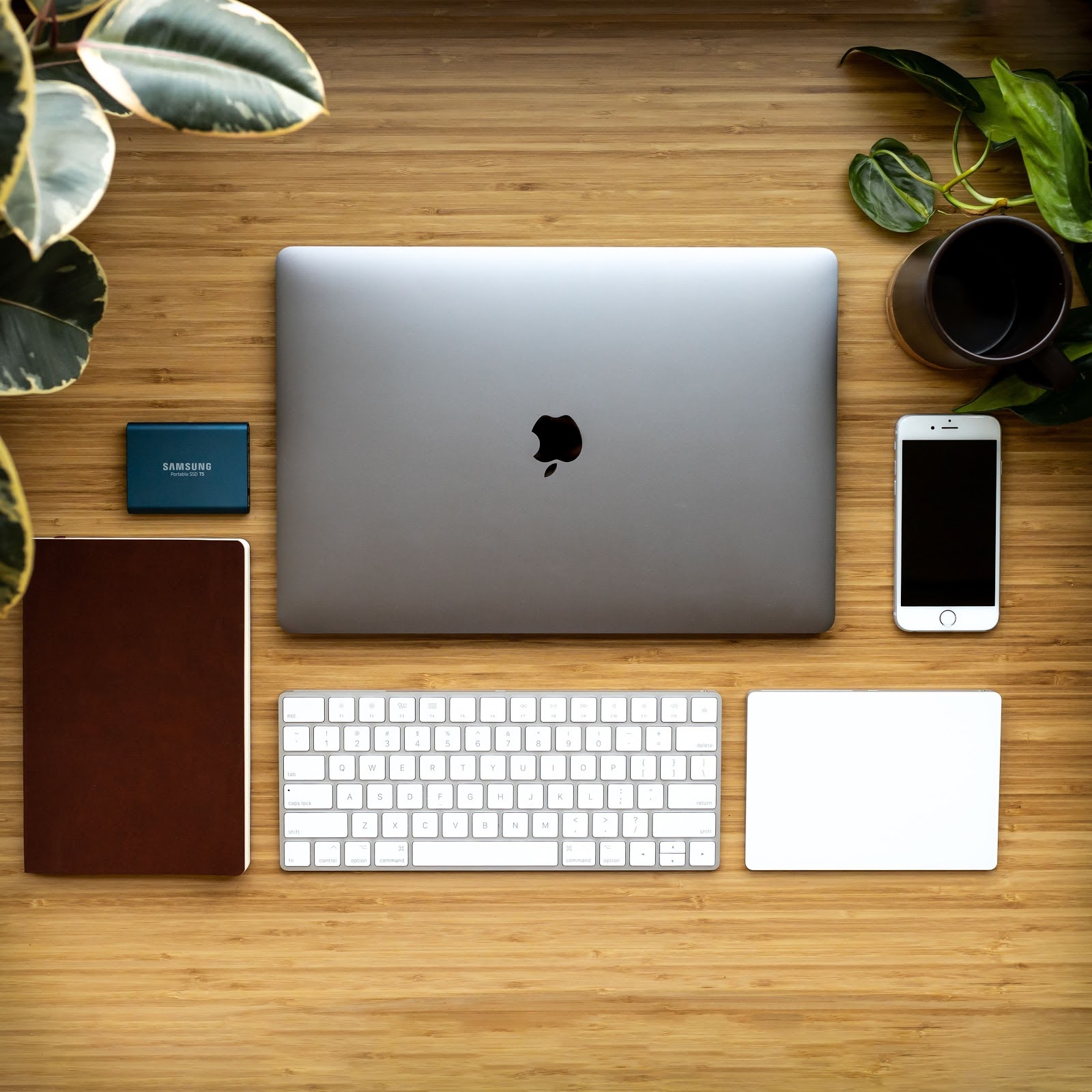 Plants and computer, keyboard, telephone on a wooden table