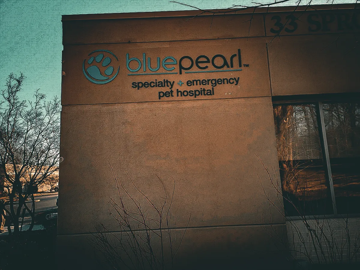 Commercial Exterior Signs for Blue Pearl Specialty and Emergency Pet Hospital