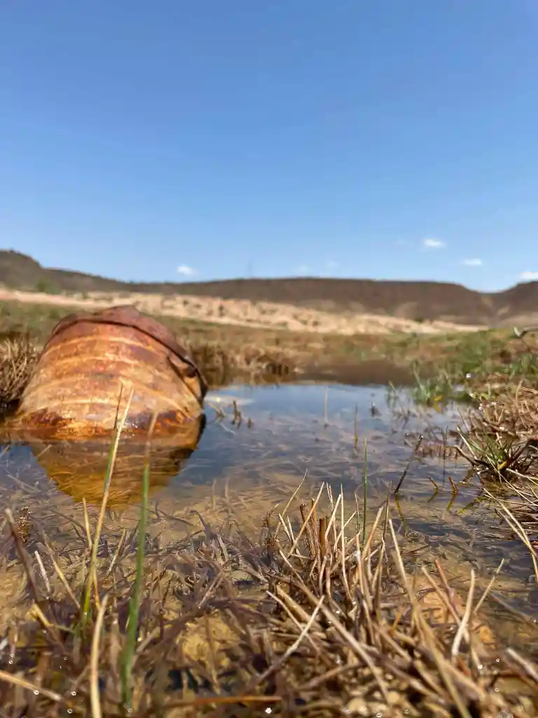 Rusty tin can partially submerged in shallow water with dry grass and hills in the background under a clear blue sky.
