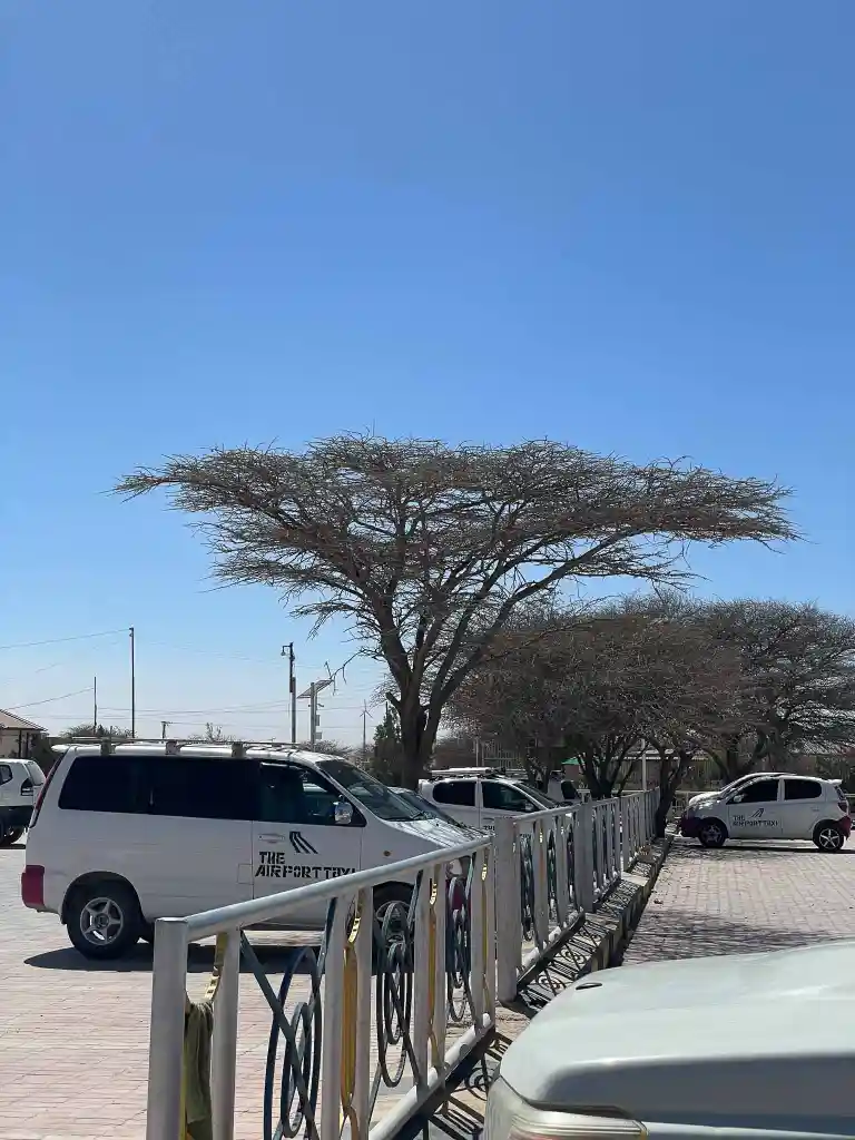 Several white vehicles with 'The Airport Taxi' logo parked along a fence under leafless trees on a sunny day with clear blue sky.