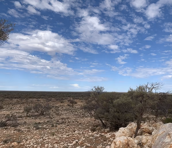 Mining district landscape near Gylden Resources projects