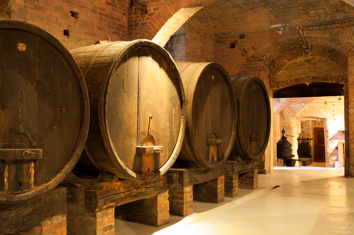 Cave avec des tonneaux de vin. Cabinet de conseils pour les professionnels de l'écosystème touristique
