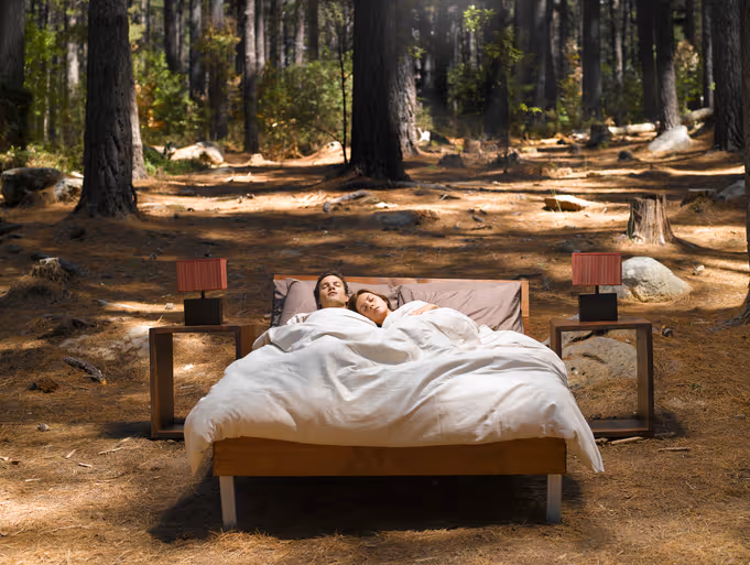 Un lit dans la forêt, un couple dort dedans. Cabinet conseil hébergement