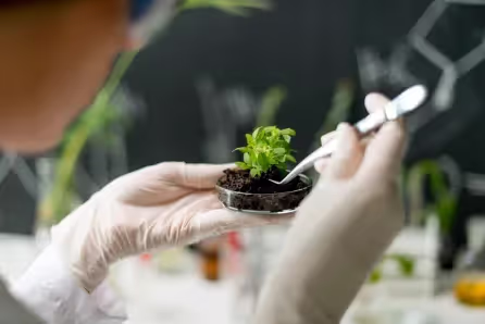 Person sitting alone in an auditorium reading sheet music among rows of empty beige and brown seats.