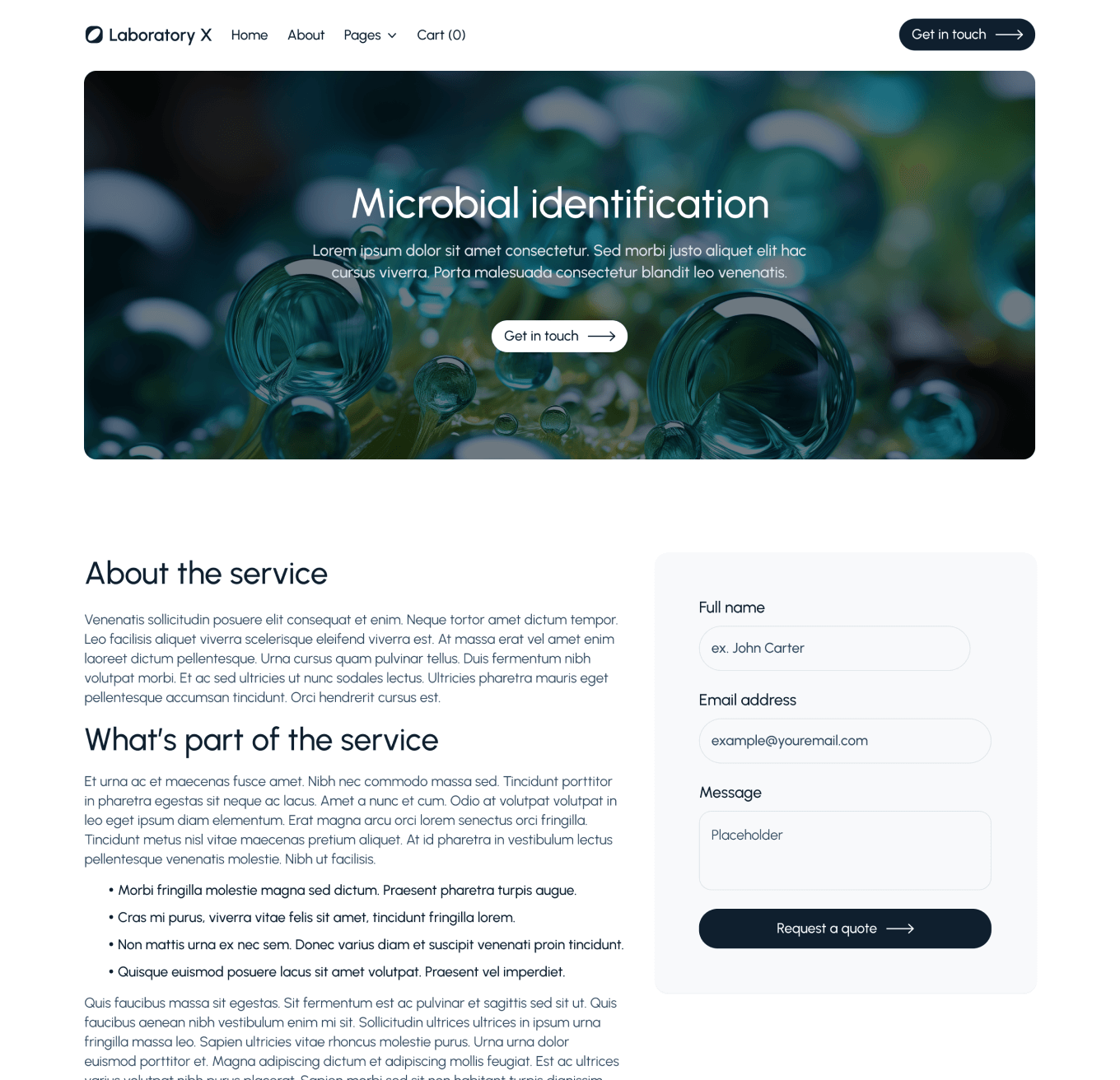 Laboratory X - Service Single Top Page - Laboratory Webflow Template