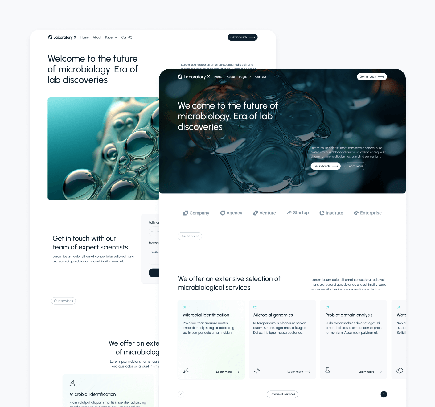 Laboratory X - More Than 22 Pages - Laboratory Webflow Template