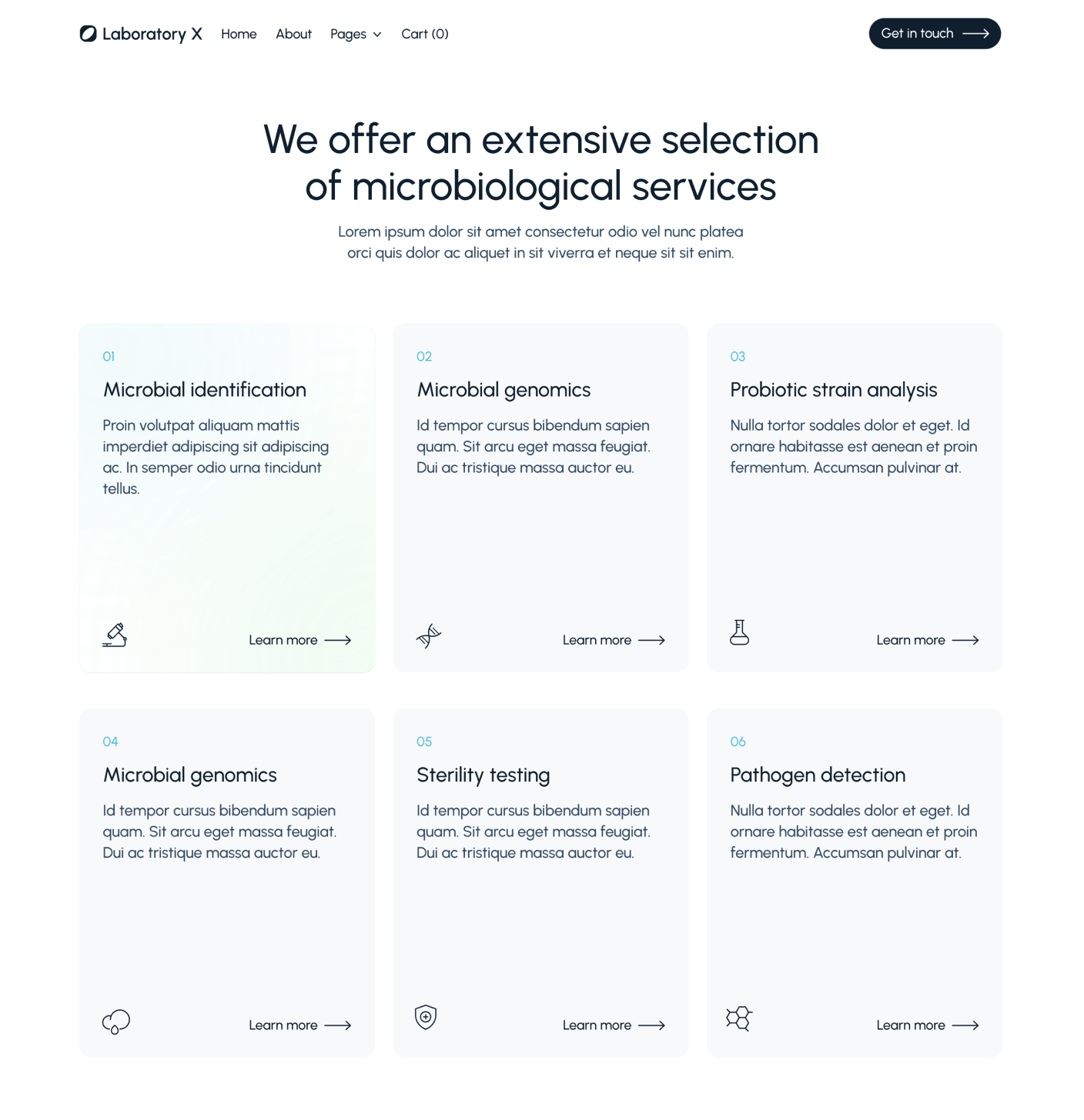 Laboratory X - Services Main Page - Laboratory Webflow Template