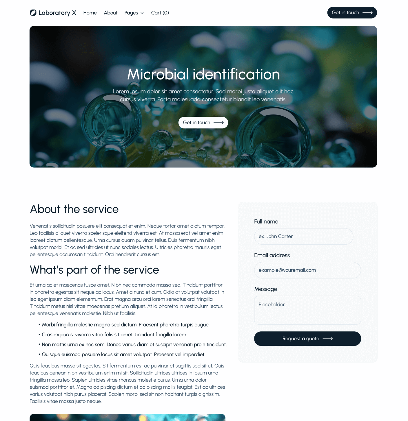 Laboratory X - Service Single Main Page - Laboratory Webflow Template