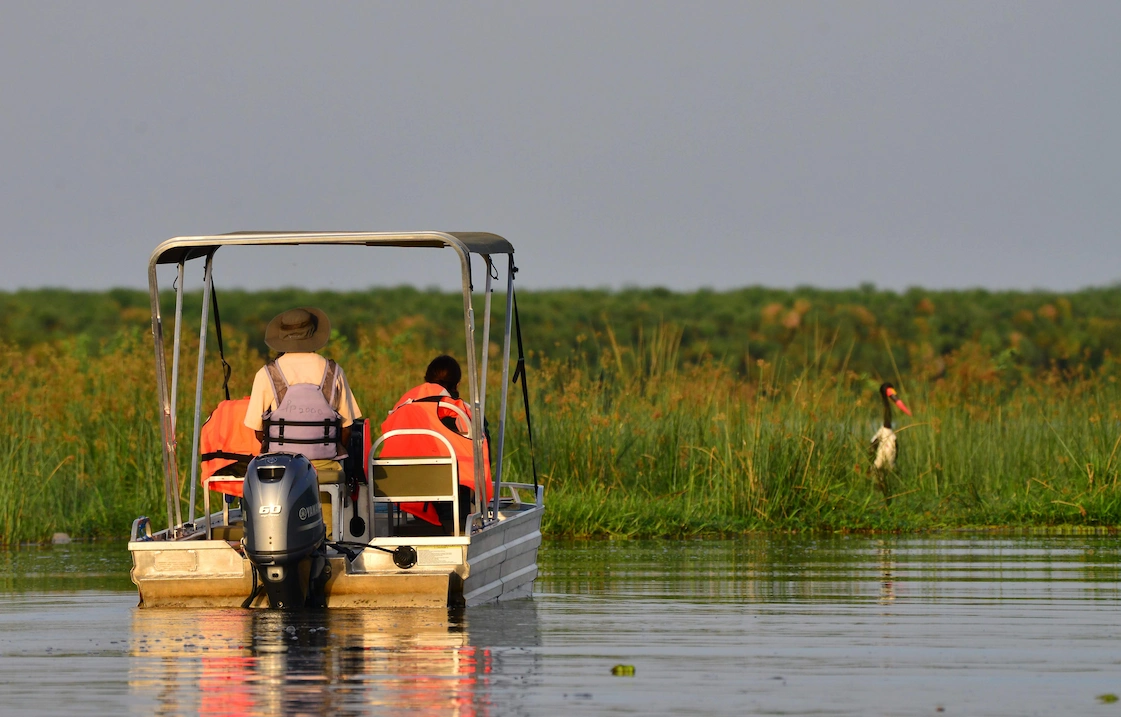 Boat trip to the Delta on the River Nile in Murchison Falls National Park 
