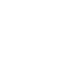 products icon
