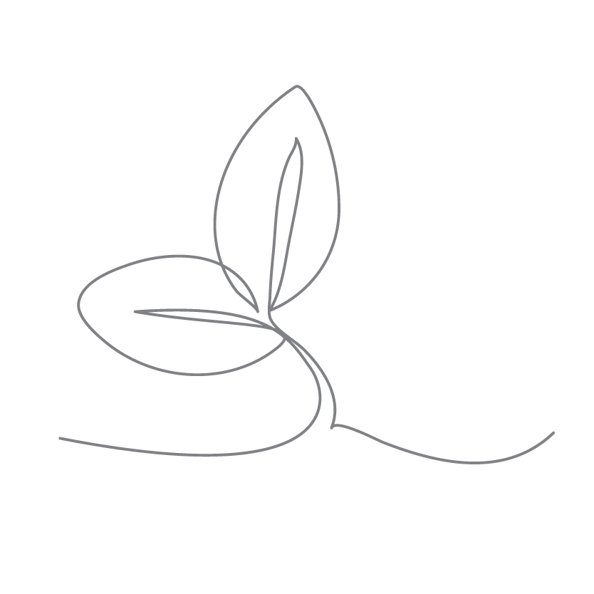 Step back re-energized