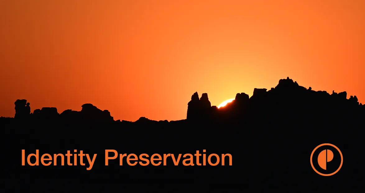 phota-labs-identity-preservation