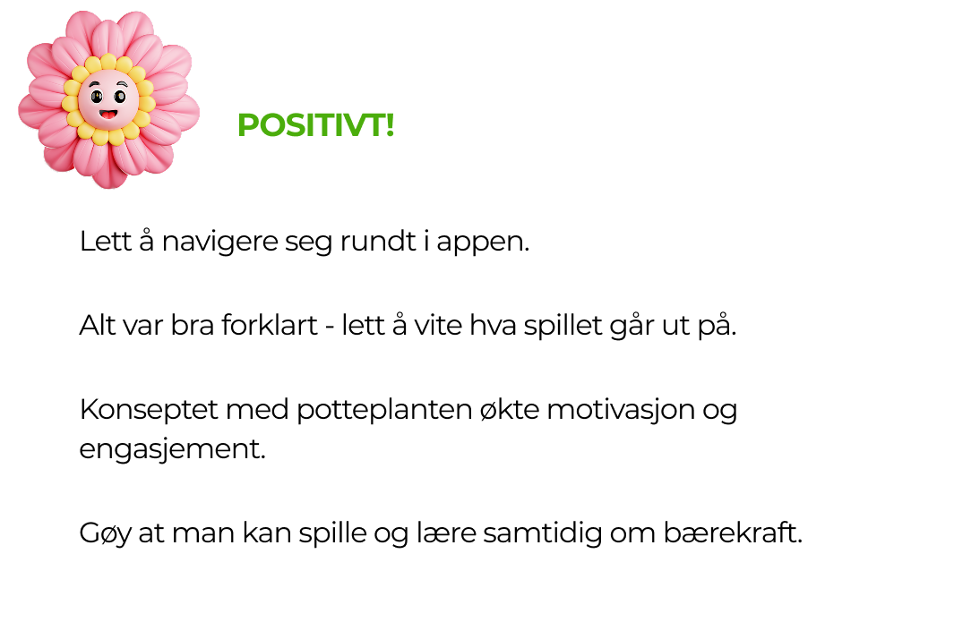 Oppsummering fra brukertestene; positive svar