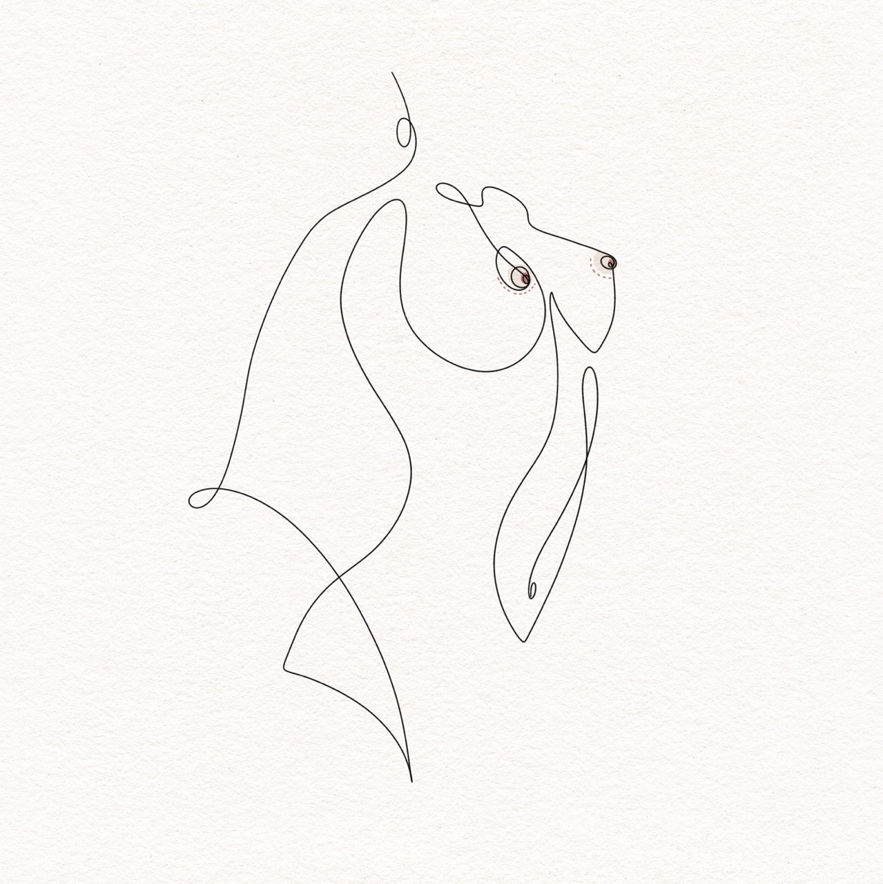 Breast Lift