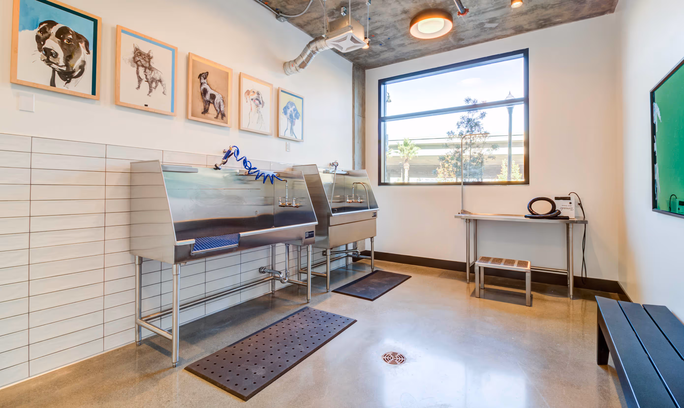 A clean dog grooming room with two stainless steel wash stations, art of dogs on the wall, a large window, and neutral tones creating a calm atmosphere.
