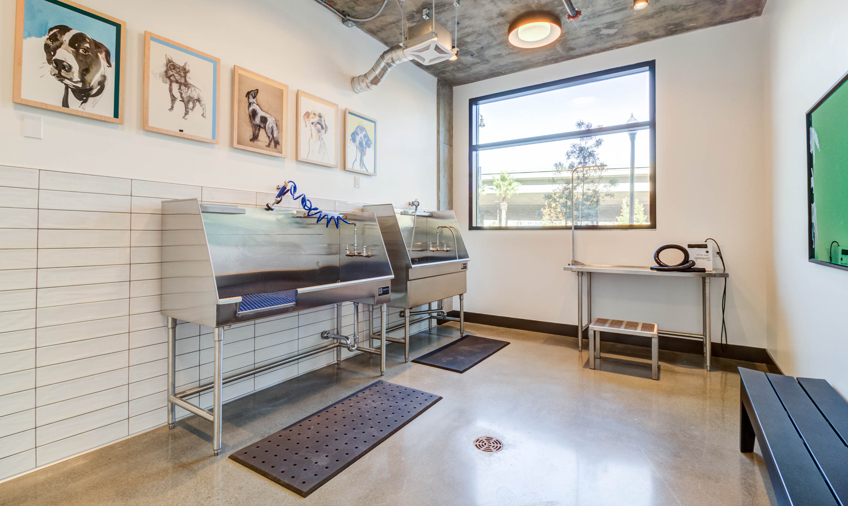 A clean dog grooming room with two stainless steel wash stations, art of dogs on the wall, a large window, and neutral tones creating a calm atmosphere.