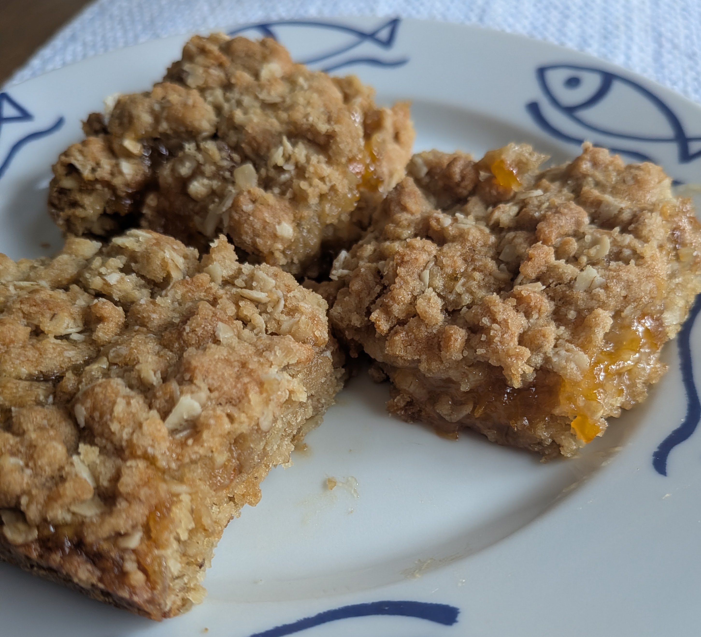 Apricot Oatmeal Bars