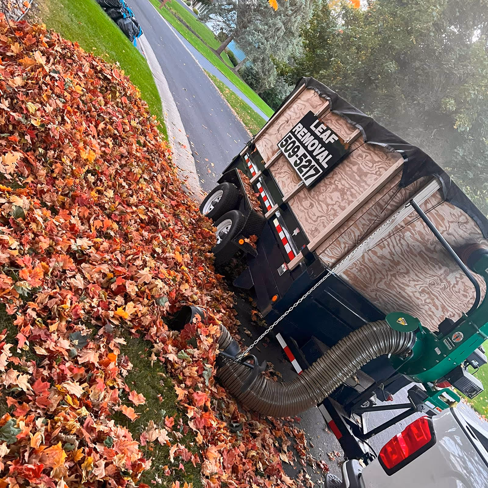Fall cleanup leaf removal and debris hauling in Pittsford NY