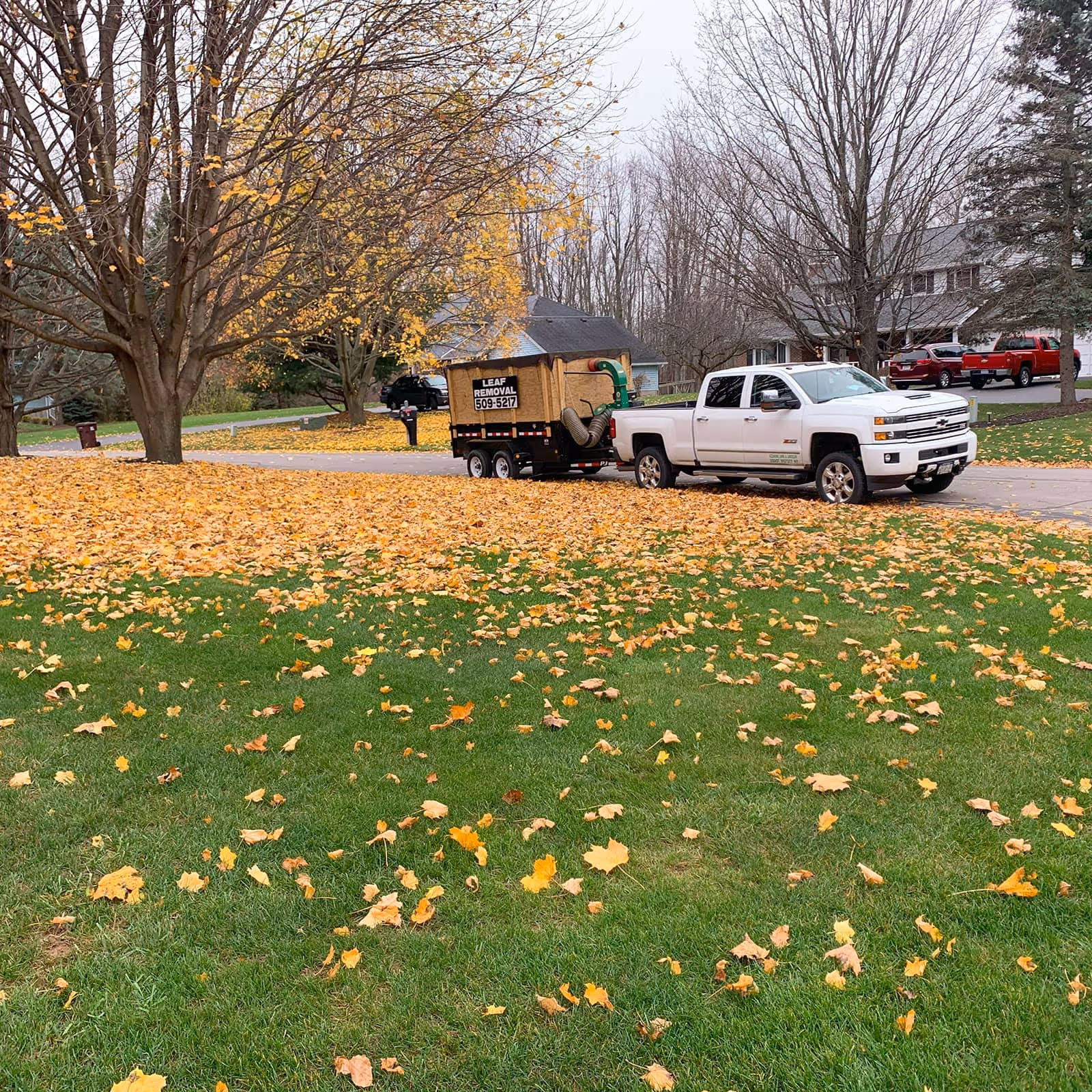 Spring cleanup clearing leaves in Pittsford NY