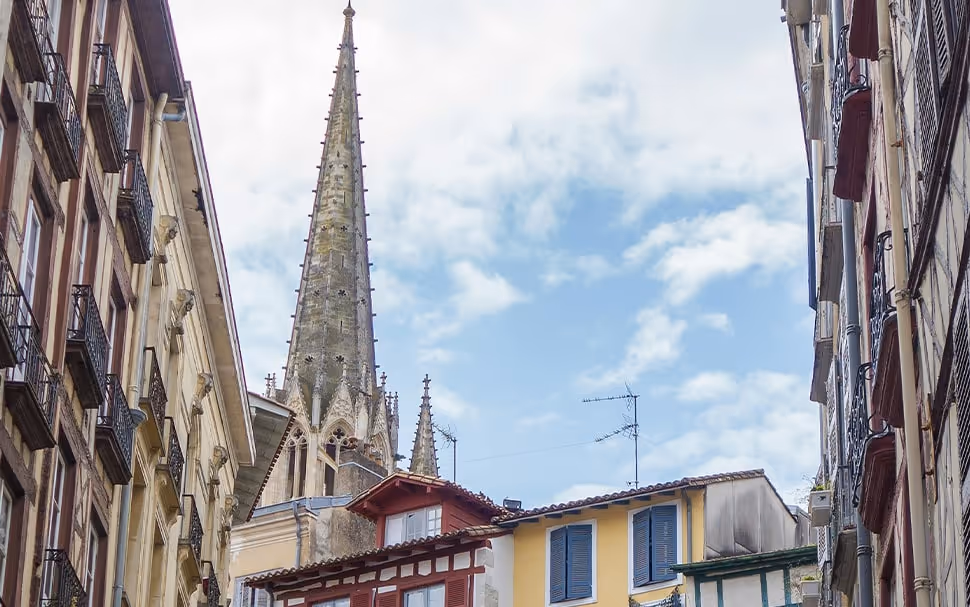 Excursion et visite du Pays Basque depuis Bayonne, patrimoine culturel et paysages authentiques