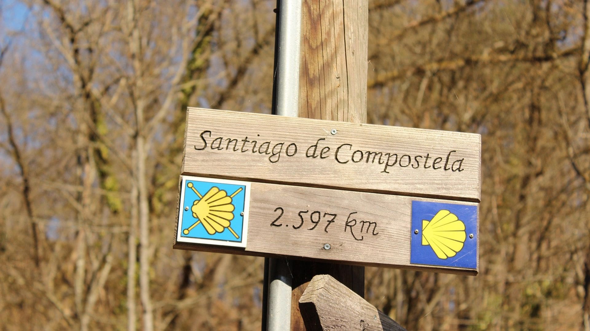 De Bayonne à Saint-Jacques : entre océan, montagnes et villages basques