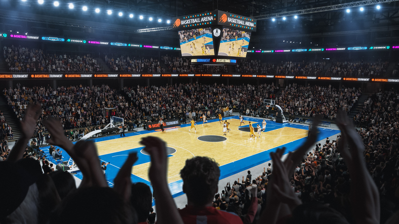 image of a concert crowd