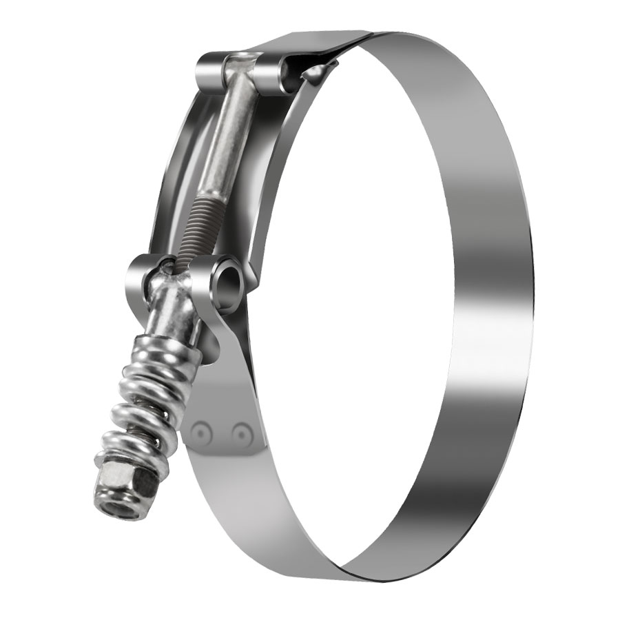 Spring Loaded T-Bolt TBLS Type Clamps