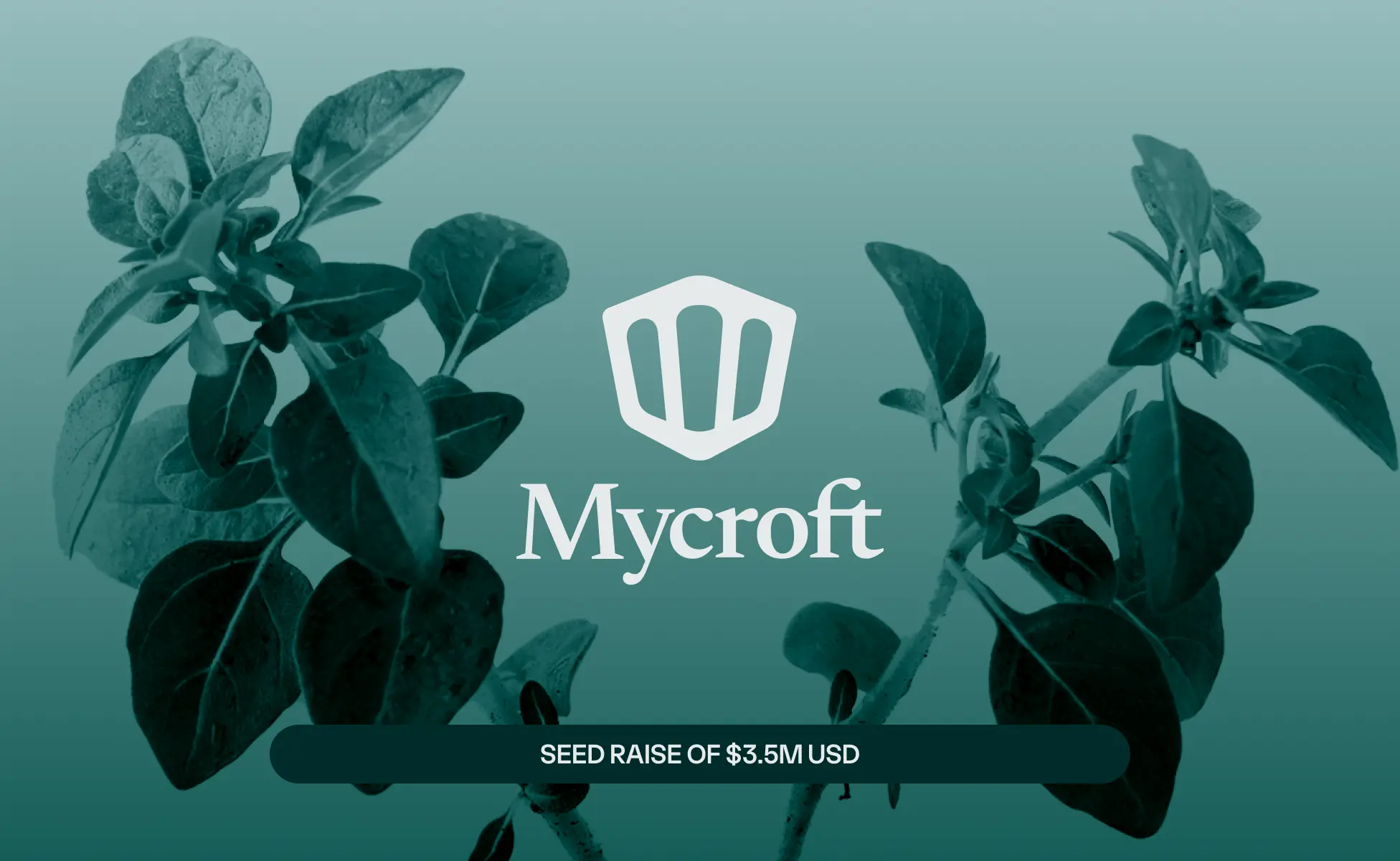Stealth to Seed: Mycroft’s AI Security & Compliance Platform Backed by $3.5M, led by Luge Capital